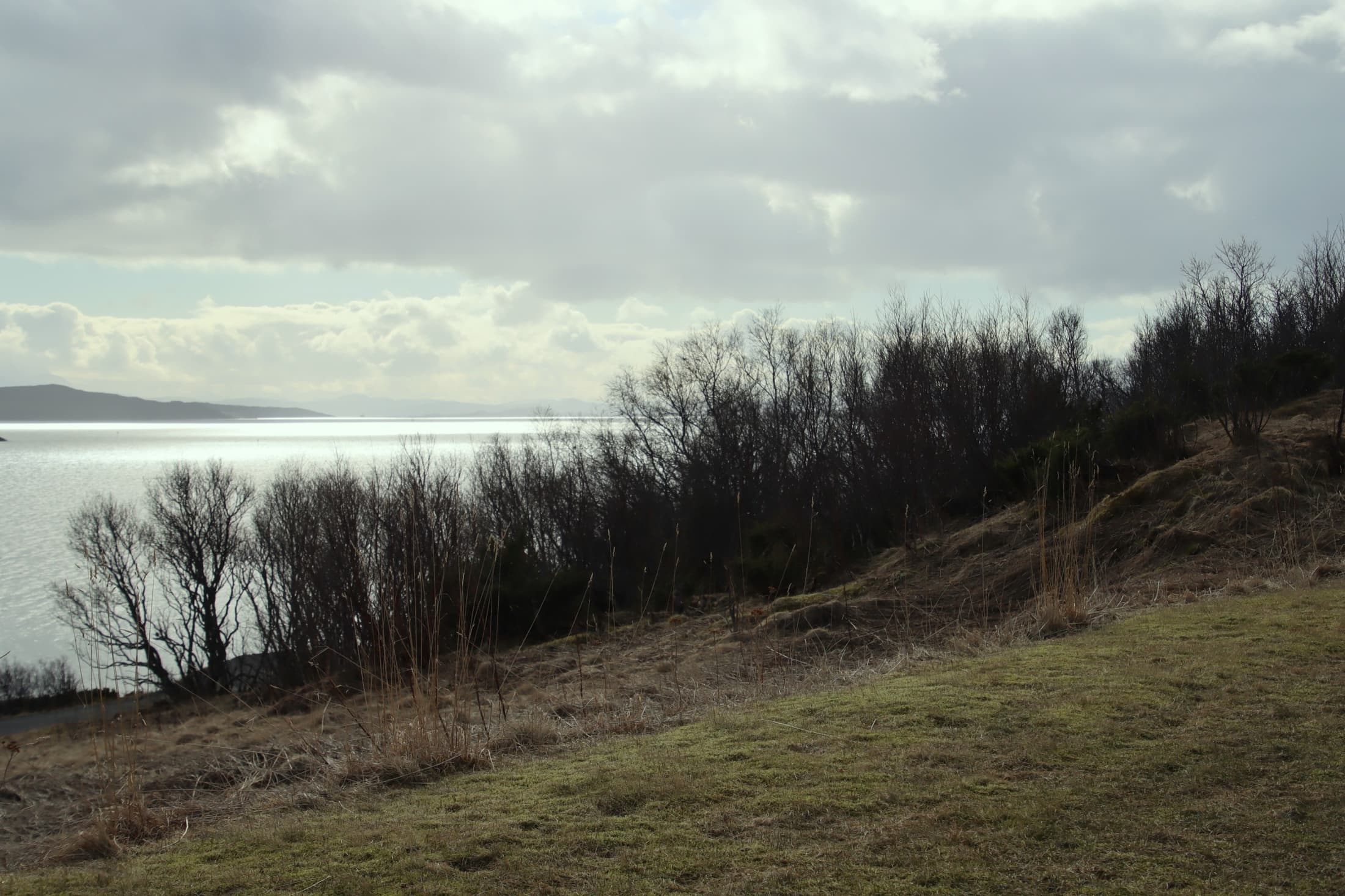 Utsikt mot Åkerøy, Kjøtta og Harstad